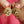 Antique Victorian Pastel Agate Round Pearl Earrings