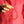 Vintage Long Natural Coral Necklace 20 Inches, Solid 14k Gold Clasp